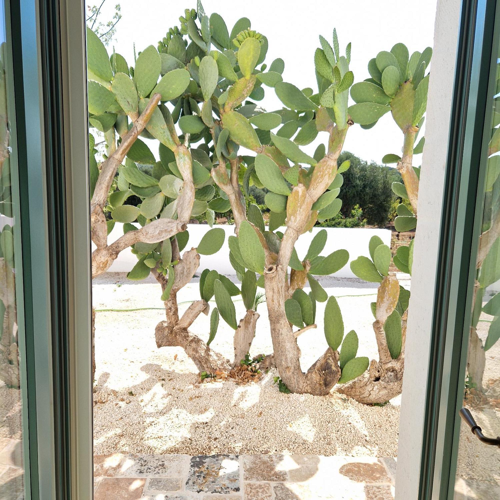 Masseria Paradiso Ostuni Esterno foto